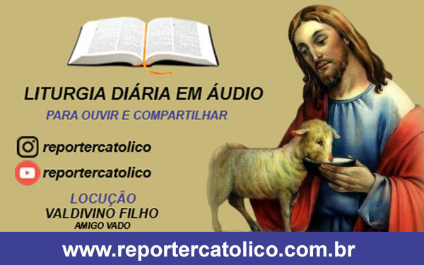 Capa 1